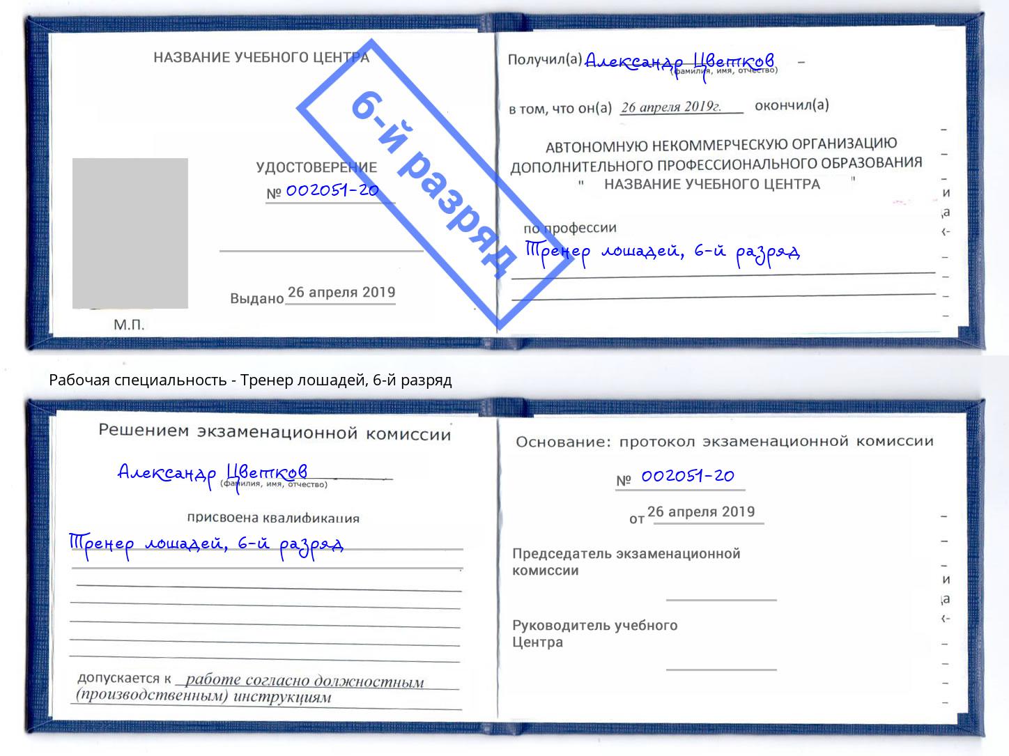 корочка 6-й разряд Тренер лошадей Чехов